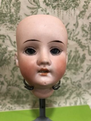 Antique German Bisque Doll Head 7 - 1/2 " Circumference