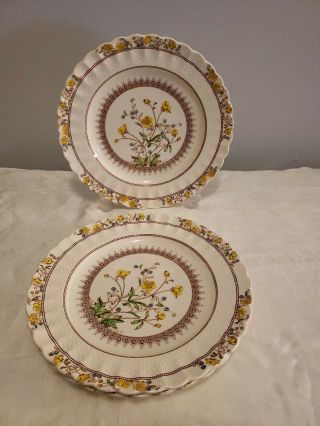 4 Dinner Plates Antique Vintage Copeland Spode Buttercup Made In England