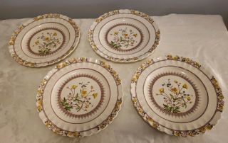 4 Dinner Plates Antique Vintage Copeland Spode Buttercup Made In England 4