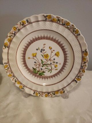 4 Dinner Plates Antique Vintage Copeland Spode Buttercup Made In England 6