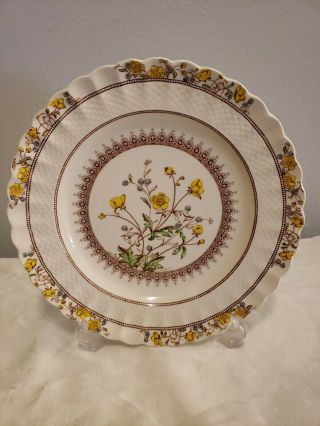 4 Dinner Plates Antique Vintage Copeland Spode Buttercup Made In England 7