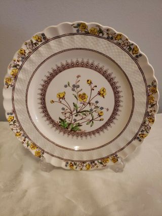 4 Dinner Plates Antique Vintage Copeland Spode Buttercup Made In England 8