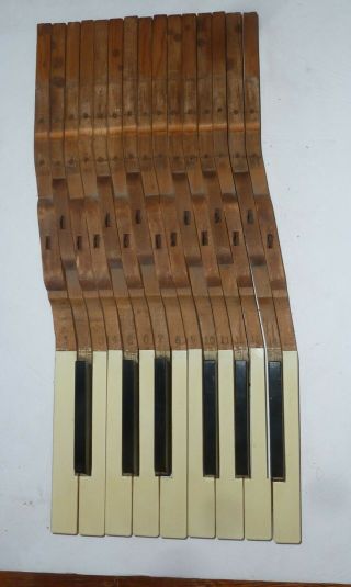 15 Antique Piano Keys From 1898 - 99 Haines Brothers Upright Piano For Arts Craft
