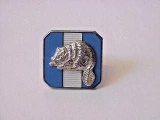 Bsa/boy Scouts Of America Silver Beaver Award Pin Enamel On Sterling