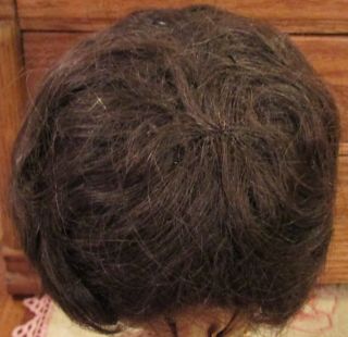 G180 Antique 10 " Human Hair Doll Wig For Antique Bisque Doll