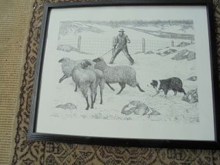 Gene Matras Print 1996 Framed Nh Artist 95/950 Limited Edition Signed Sheep