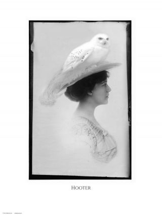 Hooter | Antique Portrait Of A Woman With An Owl On Big Hat Wall Decor