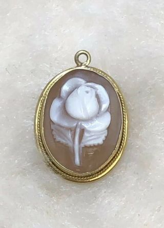 Antique Vintage 800 Silver Carved Shell Cameo Rose Floral Pendant Gold Finish