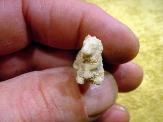 excavated vintage snow baby sheep Fève ancient length 1.  1 inch age 1890 11305 3