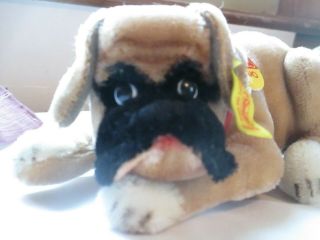 Vintage Steiff Boxer Puppy Dog With Ear Button Tag & Card