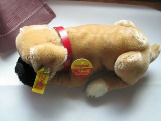 Vintage Steiff Boxer Puppy Dog with Ear Button Tag & Card 3