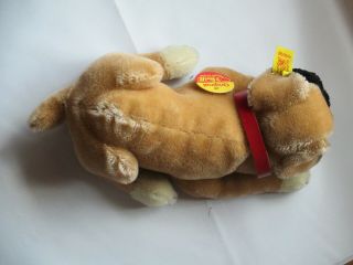 Vintage Steiff Boxer Puppy Dog with Ear Button Tag & Card 7