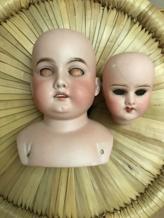 Antique Bisque Doll Heads Am Rosebud French Francaise German For Tlc Or Parts