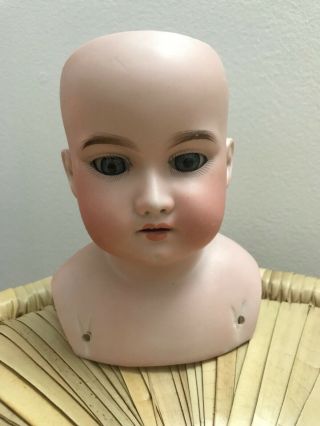 Antique Bisque doll heads AM Rosebud French Francaise German for TLC or parts 2