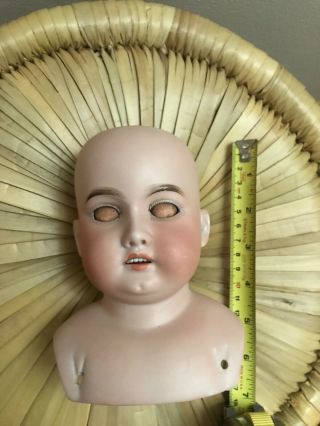 Antique Bisque doll heads AM Rosebud French Francaise German for TLC or parts 4