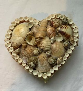 Antique Vintage Sailor Sea Shell Tramp Folk Art Trinket Jewelry Or Sewing Box