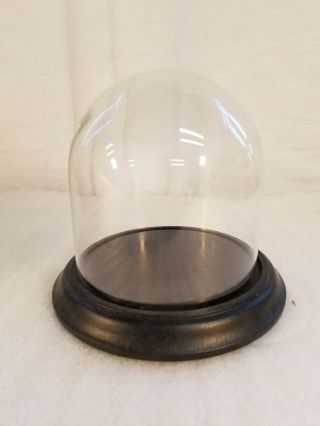 Vintage/antique Glass Dome Bell Jar With Wooden Base 6 " Tall