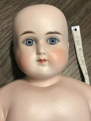 Large Antique Shoulder Head German Doll.  Abg 639 - 12