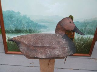 Antique Duck Decoy,  Eastern Shore Of Virginia,  Handcarved And Painted,  Large,  Glass