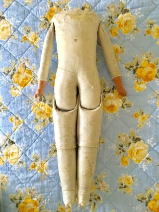 Antique 16 Inch Kid Jointed Doll Body With Bisque Hands/arms Above Wrists