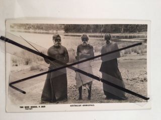 Antique Vintage Old Photo Postcard Semi Tribal Aboriginal Men Spear Rose Series