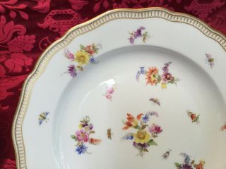 1 Of 12 Antique Meissen Flowers Insects Gilt Rim 10” Dinner Plate Crossed Swords