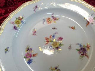 1 Of 12 ANTIQUE Meissen Flowers Insects Gilt Rim 10” dinner plate crossed swords 7
