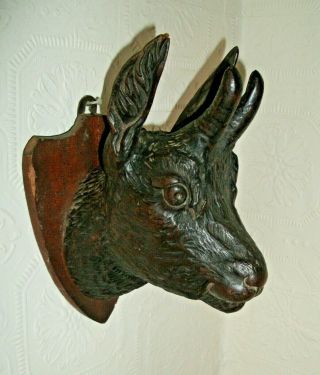 Antique Black Forest Carved Goat C/w Horns Wall Hanging