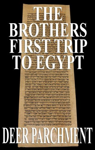 Torah Scroll Bible Vellum Manuscript Leaf 300 Yrs Morocco Genesis 42:10 - 42:38