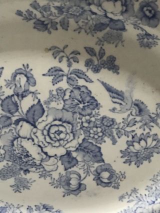 Antique Blue Transferware Large Platter 1820 Flowers Birds 2 3
