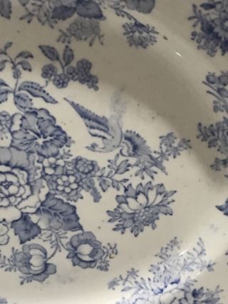 Antique Blue Transferware Large Platter 1820 Flowers Birds 2 4
