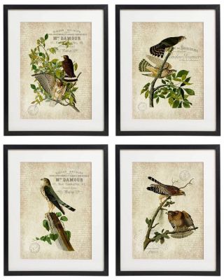 Vintage Bird & Botanical No.  10 Home Decor Wall Art Print Set Of 4 Print Unframed