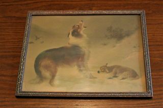 Antique W.  Hunt Litho Named " Found " Dog And Sheep In Frame