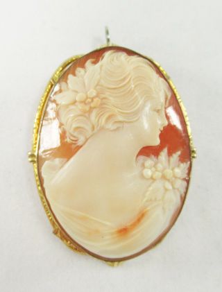 Lovely Carved Shell Cameo Pin/brooch Gold Filled Antique/vintage Woman 