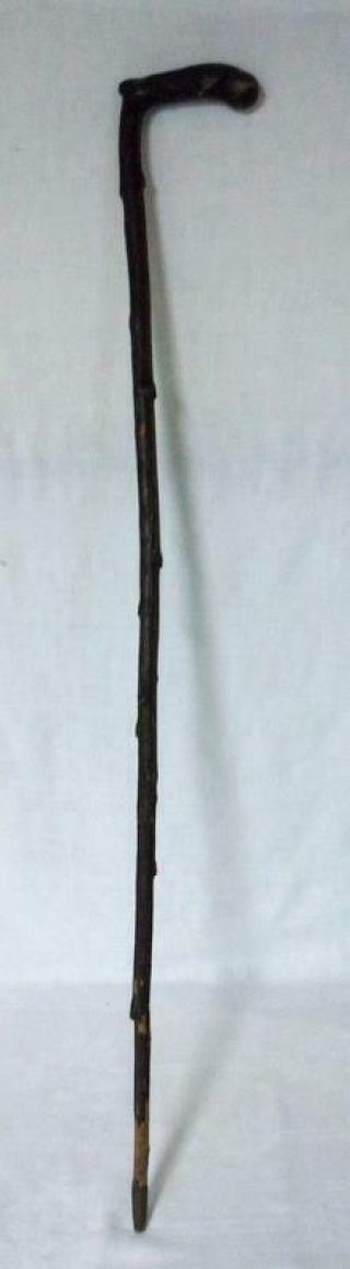Vintage Victorian Era Blackthorn Walking Stick Cane