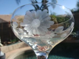 5 Antique Cut Wheel Etched Cornflower Crystal Low Stem Sherbet Champagne Glasses
