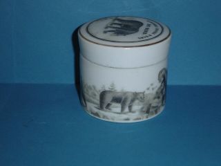 Antique Veritable Graisse D ' ours DU NORD Bear grease Jar,  pot with lid 4