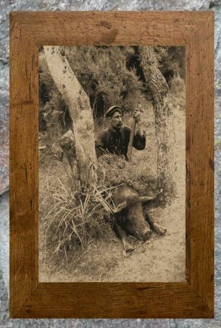 Remarkable.  Hunter Posing,  Wild Boar Hunting.  Antique 8x10 Photo Print