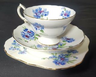 Antique Hammersley & Co Stoke On Trent London 1890 Cup & Saucer Set