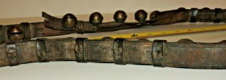 1800 ' s Amish Brass Sleigh Reindeer Bells Old Leather Belts Straps 34 bells 5