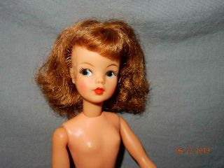 Vintage 1960s Ideal Tammy Doll Reddish Brown Hair 12” Tall Bs - 12 Vgc