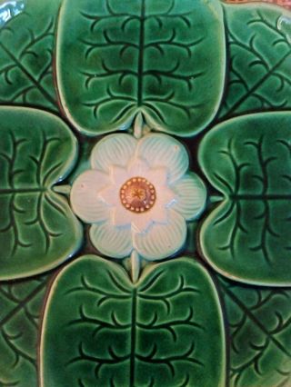 Antique Majolica Water Lily 8 