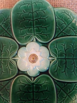 Antique Majolica Water Lily 8 
