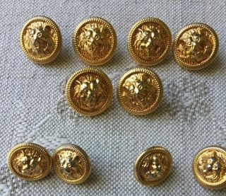 Vintage High Relief Brass Lion Head Ornate Gold Tone Metal Buttons - Set Of 10