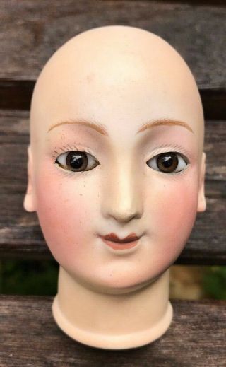 Mystery Doll Head Antique Bru French Fashion Closed Mouth Pierced Ears Repaired