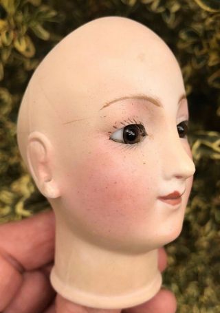 Mystery DOLL HEAD Antique BRU French Fashion Closed Mouth Pierced Ears REPAIRED 3