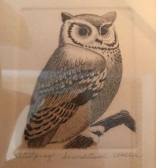 Vintage Dell Weller Signed Limited Edition,  Artist Proof Etching,  " Screech Owl”