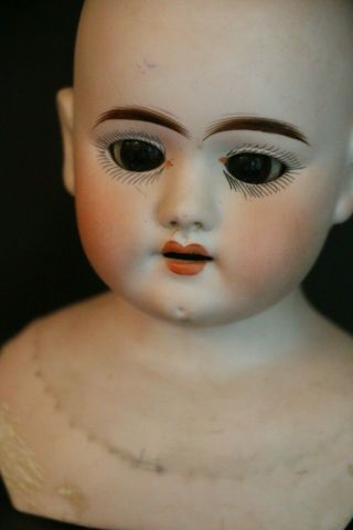 Antique German Bisque Doll Head 6 3/4 In Sleep Eyes Shoulderhead Doll Head
