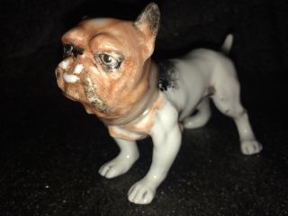 Antique Italian Capodimonte Hand Painted Porcelain Bulldog Figurine