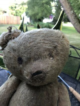 Antique Well Loved Teddy Bear